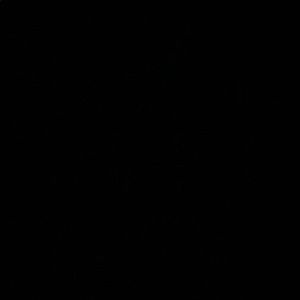 Meet your Posher, Toby